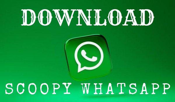 Cara Download Scoopy WhatsApp Versi Terbaru 2023