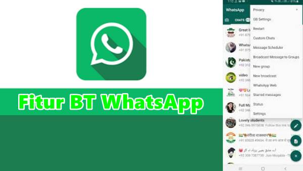 Daftar Fitur - Fitur BT WhatsApp