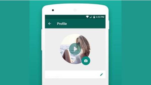 Fitur Premium Provid WhatsApp Profile Video Apk
