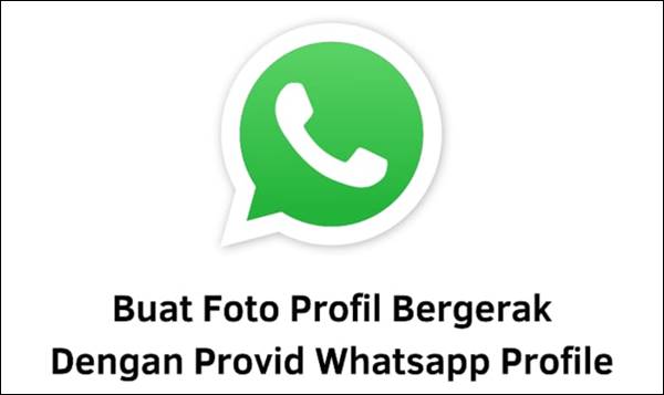 Membahas Tentang Provid WhatsApp Profile Video Apk