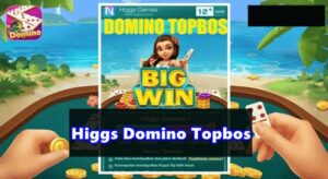 Tutorial Install Higgs Domino Topbos Apk Mod
